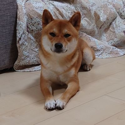 EuuRaNJcI9UTjb9's profile picture. 32
東北 宮城
海釣り 投げ釣りメインたまにシーバス、フラットやります! 
柴犬の虎哲君お出迎え🐶
柴犬の飼い主さんよろしくお願いします🐶

ZEPHYR400レストア予定🏍

無言フォロー失礼します！