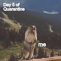 clairebear84 (@clairebear71934) 's Twitter Profile
