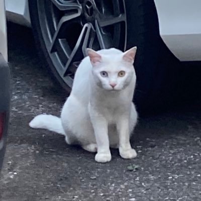 shio_san_'s profile picture. ネガティブファイター