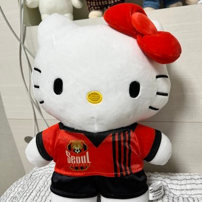 football_89_'s profile picture. 축구의 모든 순간…✨ 국대, PSG, FC SEOUL, 토트넘 등등 다 좋아하는데 아 몰랑 다 죠아🫶🏻