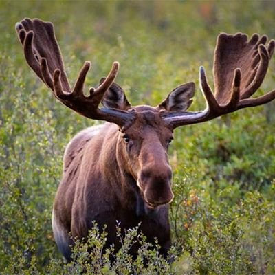 PlatformPlayer's profile picture. Racquets Enthusiast