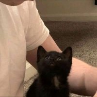 en-il (@eajrealiz) 's Twitter Profile
