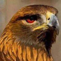 الروك (@qzrgnforxg1vtrz) 's Twitter Profile