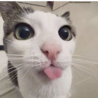 لا-حدود (@lfhjbkd) 's Twitter Profile