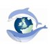 Sea Watch Foundation (@seawatchersuk) Twitter profile photo Sea Watch Foundation (@seawatchersuk) Twitter profile photo