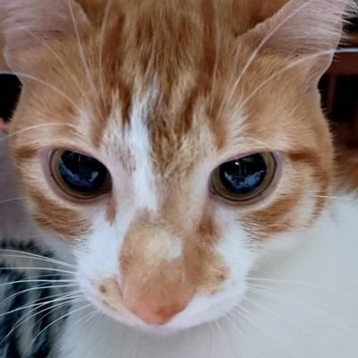 Sa_rali_'s profile picture. Eu sendo apenas sendo eu com meus 20 anos ;0