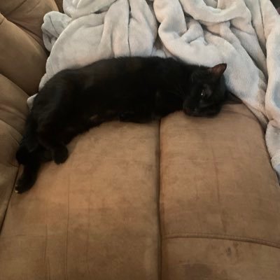 demontimemel2's profile picture. 20 | priv: @melodious253176