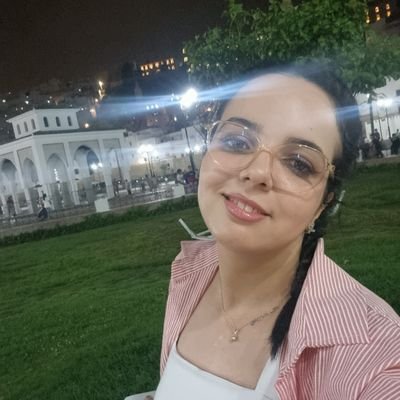 HafsaaOuifak's profile picture. Ph.D. Research @ UM6P | AI | XAI |