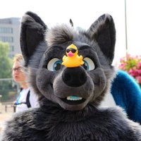 Quarzar π§¦πΎπ³π±π©πͺπ³οΈβππ 2Dance, EF (sat), RFR (@quarzar1) 's Twitter Profile