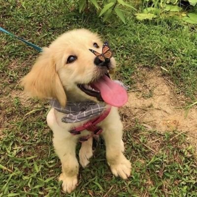 Tmice3's profile picture. 