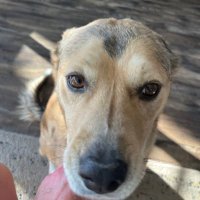 aj_plaskey (@aplaskey) 's Twitter Profile