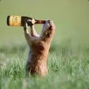 Zep (@kevins999654) 's Twitter Profile