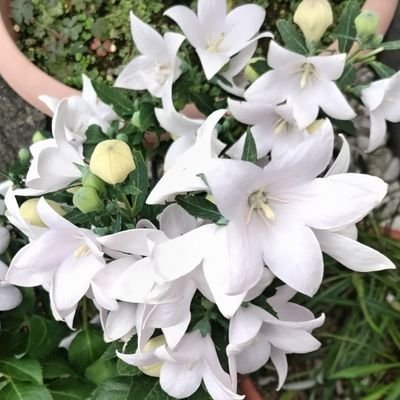 闘病生活を体験し、心も身体も健康であることが最優先だと実感しました。身体に優しいことやリフレッシュ出来ることを集めています✨
無言フォローご容赦ください。DMは返信できません。ごめんなさい🙇
健康に関するブログを始めました↓