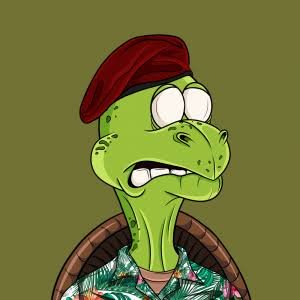 oppentheimer's profile picture. AI Developer | NFT & Smart Asset Innovator 🤖 | Merging artificial intelligence with blockchain to create next-gen digital assets.