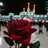 عےـآشےـكےـهےـِ (@h_hwbe) 's Twitter Profile