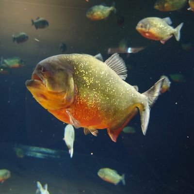 ひと醜らさんのプロフィール画像