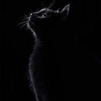 Widad Ahmed (@ndwnm36730) 's Twitter Profile