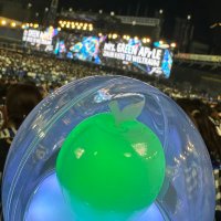 み🍏 (@fu_mrs_) 's Twitter Profile