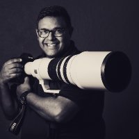 Roger Sedres (@rogersedres) 's Twitter Profile Photo Roger Sedres (@rogersedres) 's Twitter Profile Photo