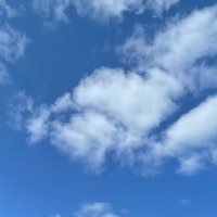 たかれんらく (@taka_renraku_yo) 's Twitter Profile