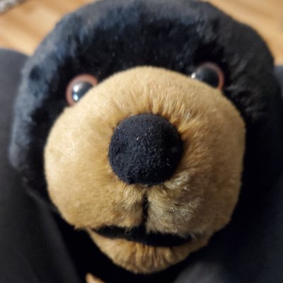 Bobd9nh's profile picture. In eternity I'm going to hitchhike across the galaxies beyond the new earth. "Whereby are given unto us exceeding great and precious promises.." KJV 2 Peter 1:4