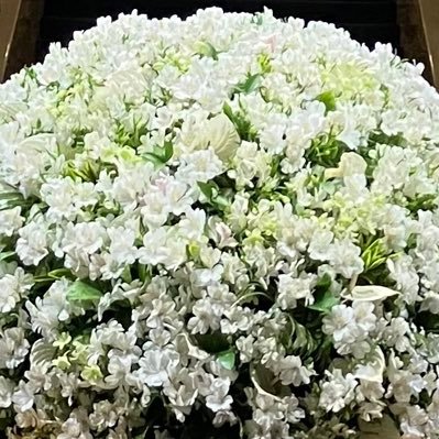 神在月 紫子さんのプロフィール画像
