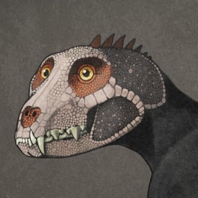 tirmakfin's profile picture. Die not see raw bone new clay is as said