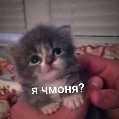не выдуманные истории о которых не возможно молчать