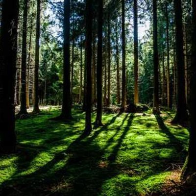 SansburnF16686's profile picture. Trader with a coffee addiction ☕ | Focusing on learning, earning, and staying humble | #MarketLife