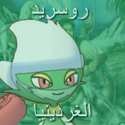 モモシロさんのプロフィール画像