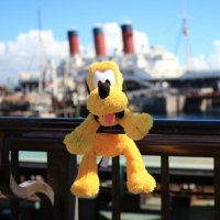 色葉 (@rs__0316) 's Twitter Profile