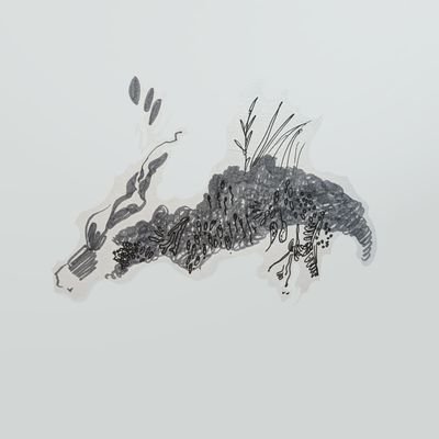 紫雲さんのプロフィール画像