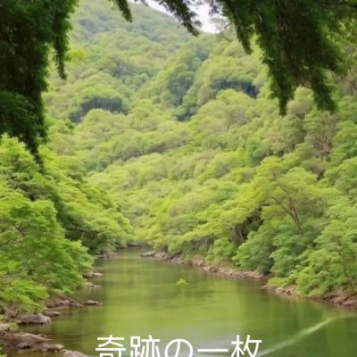 fdasdDSMDV73737's profile picture. 