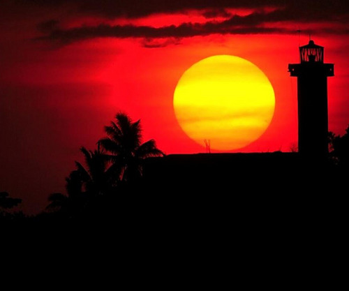 lburton85's profile picture. 