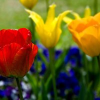 Alan Titchmarsh (@alan_titchmarsh) 's Twitter Profile