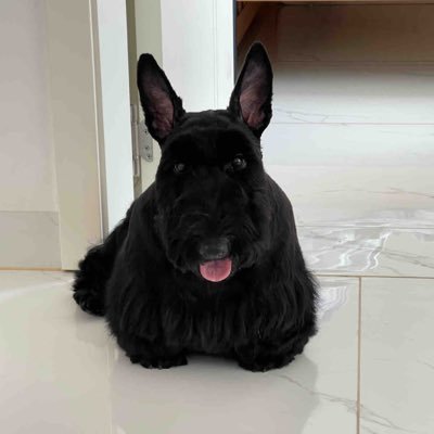 cassiequinn77's profile picture. 