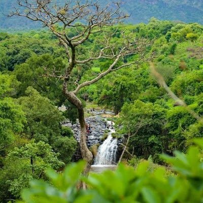 HassanA53679's profile picture. 