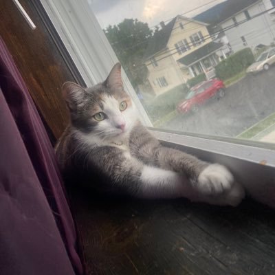 Relkah_'s profile picture. 24| COD Player for @ |🇩🇪| 14x🏆