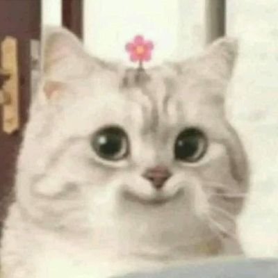 gongju_bae's profile picture. 🙃