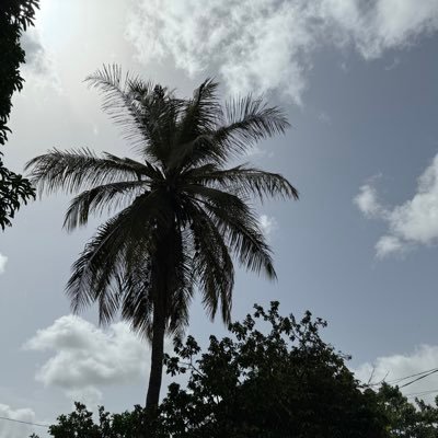 Ousainou1jarju2's profile picture. Spreading love, kindness, and hope 🌍 | Standing for one another through good and hard times | Together we rise 🤝🙏🏿🤝🏿