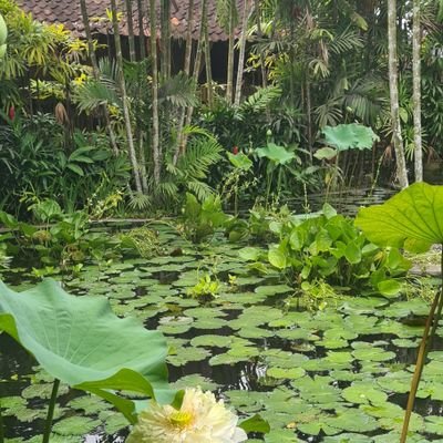 tradcath4life's profile picture. Restore the sacred