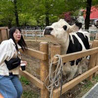 Mao Kawamura (@mitonn310) 's Twitter Profile