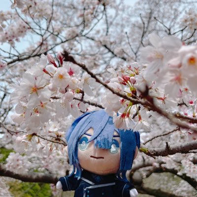 ポヨヨンさんのプロフィール画像