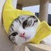 เป็ดขาสั้นนะรู้มั้ย 🐣 (@pedkhasun) Twitter profile photo เป็ดขาสั้นนะรู้มั้ย 🐣 (@pedkhasun) Twitter profile photo
