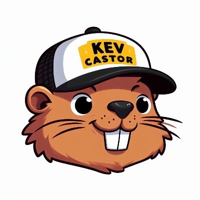 KevCastor14's profile picture. Développeur. Je stream du développement ou du jeux vidéo ici https://t.co/9Wg2tit7c8