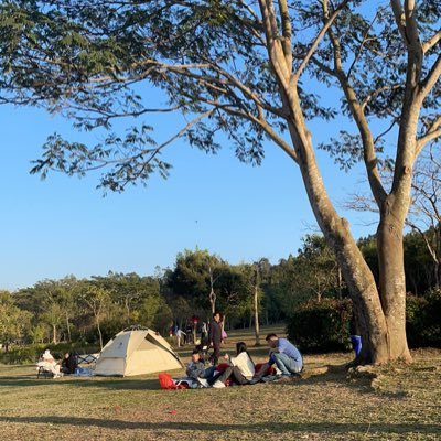 jMcjx5uL8ovUKJO's profile picture. 时光匆匆，尽量避免错过沿途的风景