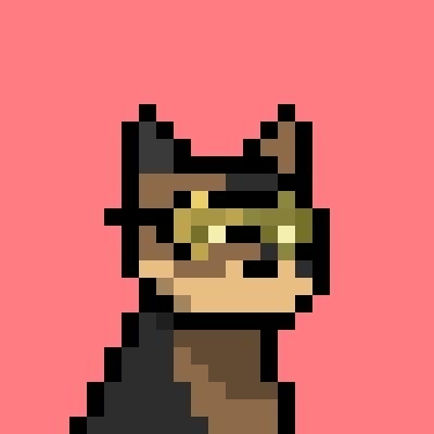 sercanalgull's profile picture. 