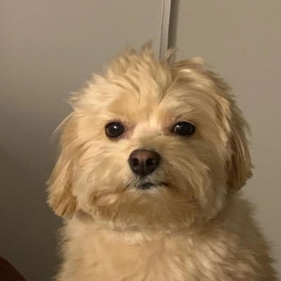 bebop_5150's profile picture. Jokes on me