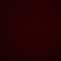 noor (@noor_3580) 's Twitter Profile Photo