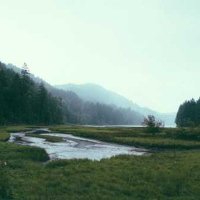 HodginN99655 (@hodginn99655) 's Twitter Profile